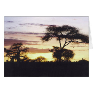 Coucher du soleil africain