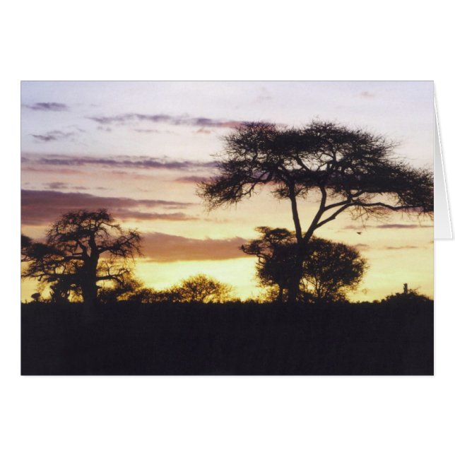 Coucher du soleil africain (Devant horizontal)