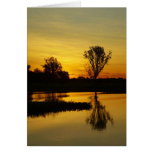 Coucher du soleil, Billabong d'eau jaune