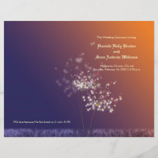 Coucher du soleil Dandelions Bi programme de maria
