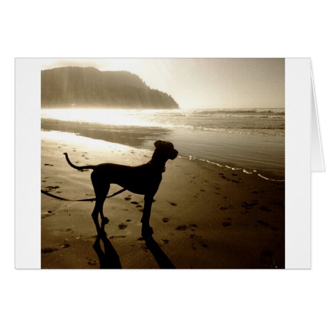 Coucher du soleil de chiot de great dane (Devant horizontal)