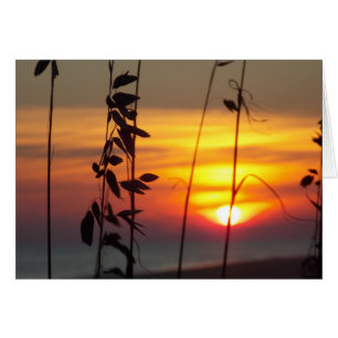 Coucher du soleil d'hiver