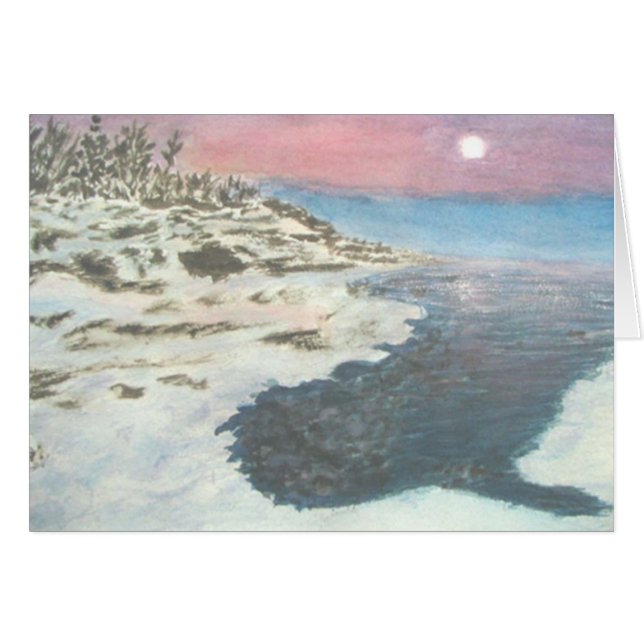 Coucher du soleil hivernal dans le transport grand (Devant Horizontal)