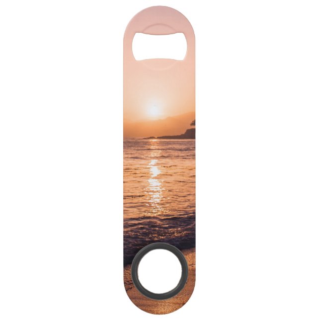 Coucher du soleil renversant de plage (Devant)
