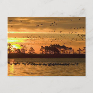 Coucher du soleil sur la carte postale de Chincote