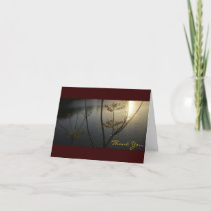 Coucher du soleil sur le merci d'ondulations pour