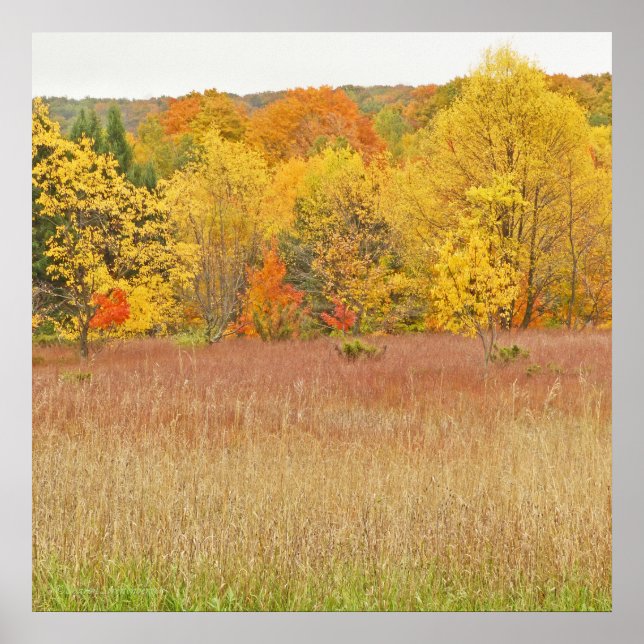 "COUCHES DE COULEUR/FEUILLES DE TOMBÉE" impression (Devant)