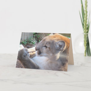 Cougar avec une carte de voeux