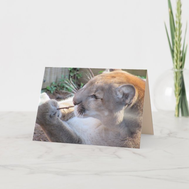 Cougar avec une carte de voeux (Devant)