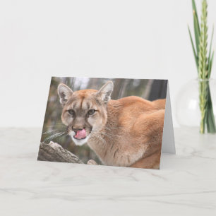 Cougar Big Cat Carte pour notes