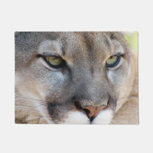 Cougar / Florida Panther / Puma - Tapis de porte