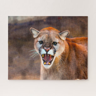 Cougar Mountain Lion. Jigsaw Puzzle