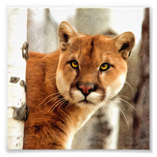 Cougar Photo Peinture
