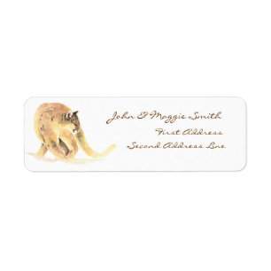 Cougar, Puma, Lion de montagne, Animal Étiquette