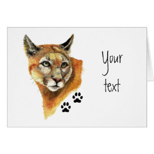 Cougar, Puma, Lion de montagne - Traces animales