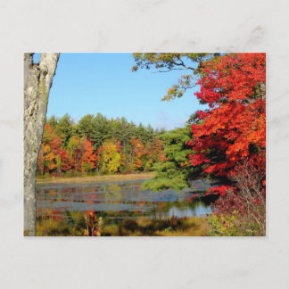 Couleur Automne Carte Postale Nouvelle-Angleterre