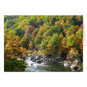 Couleur d'automne dans le parc d'état d'Ohiopyle
