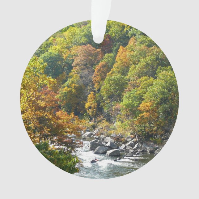 Couleur d'automne dans le parc d'état d'Ohiopyle (devant)
