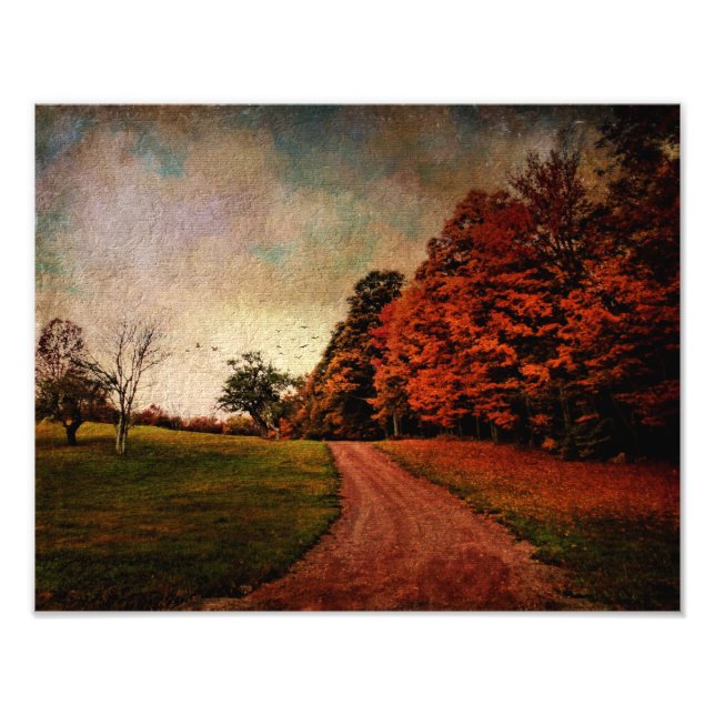 Couleur d'impression simple photo (Devant)