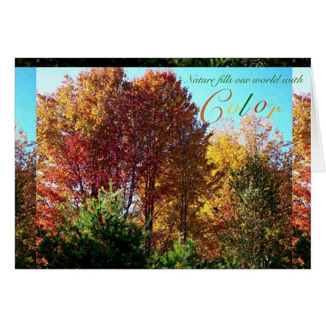 Couleur du feuillage (Devant horizontal)