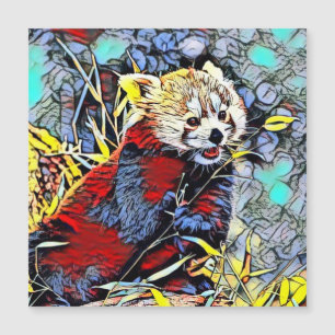 Couleur - Panda rouge