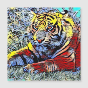 Couleur - Tiger 2
