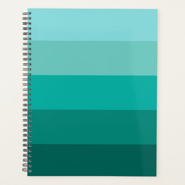 Couleur verte (Devant)