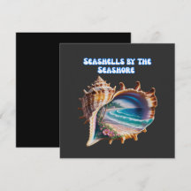 Couleurs communes de coquillages