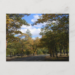 Couleurs d'automne... Carte postale