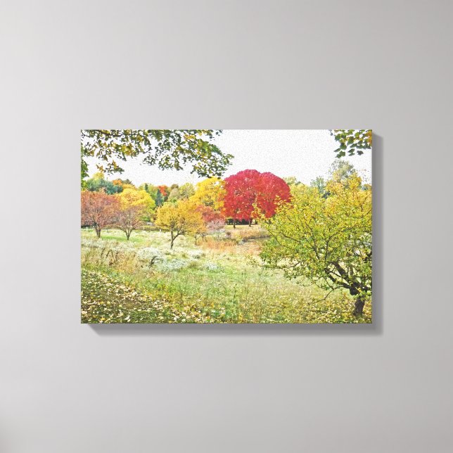 "COULEURS D'AUTOMNE DANS LE PARC"  Impression sur  (Recto)