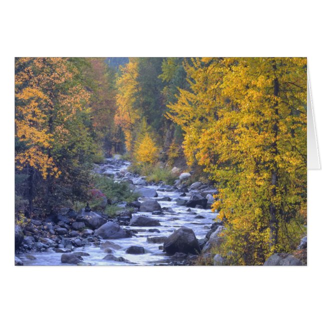 Couleurs d'automne des forêts dans The Cascade 6 (Devant horizontal)