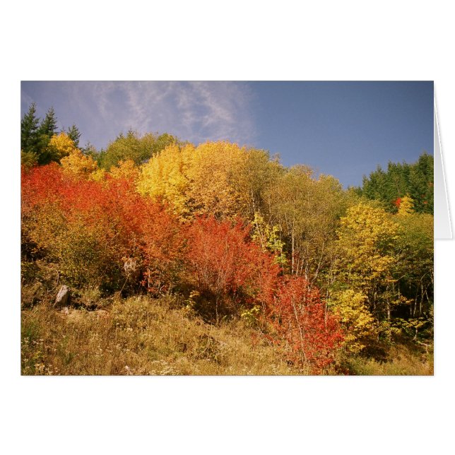 Couleurs de chute au capot de Mt. (Devant Horizontal)