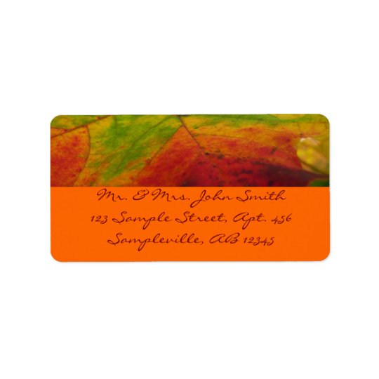 Couleurs de la photographie de nature d'automne de étiquette d'adresse