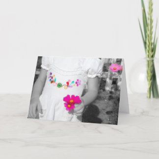 Couleurs de la vie - cartes de voeux