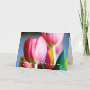 Couleurs de ressort • Carte de voeux du jour de