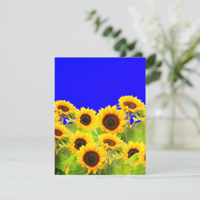 Couleurs du drapeau de la carte de tournesol Ukrai (Debout devant)