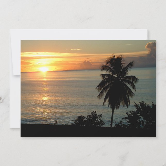 Couleurs étonnantes Couleurs de soleil (Devant)