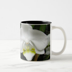 Couleurs Tasse 2 d'orchidée