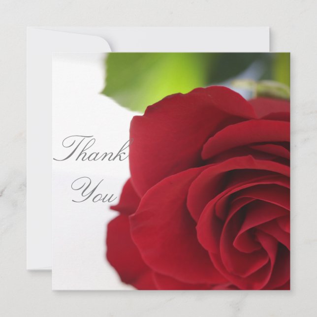 Couleurs vives Rouge Rose Votre carte texte plat (Devant)