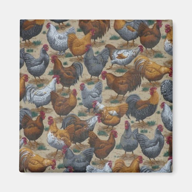 Country Fun Rosters & Hens Frigo Magnet (Devant)