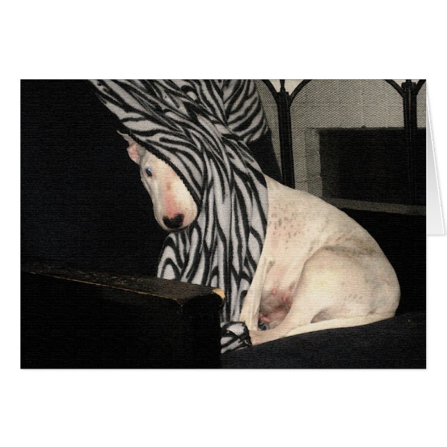 Coup d'oeil-un-Despote (Devant horizontal)