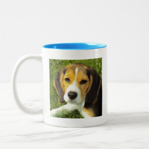 Coupe beagle de chiot de chiot de café Mug
