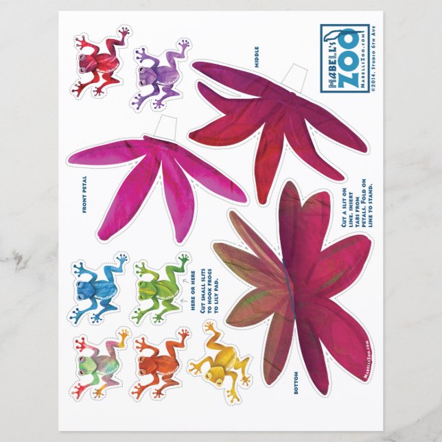 Coupes de grenouille Zoo de Mabell (Devant)