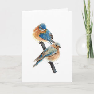 Couple de Merlesbleus Peinture Joyeux Anniversaire