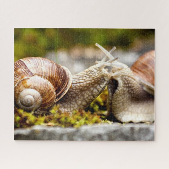 Couple d'escargots, Puzzle (Horizontal)