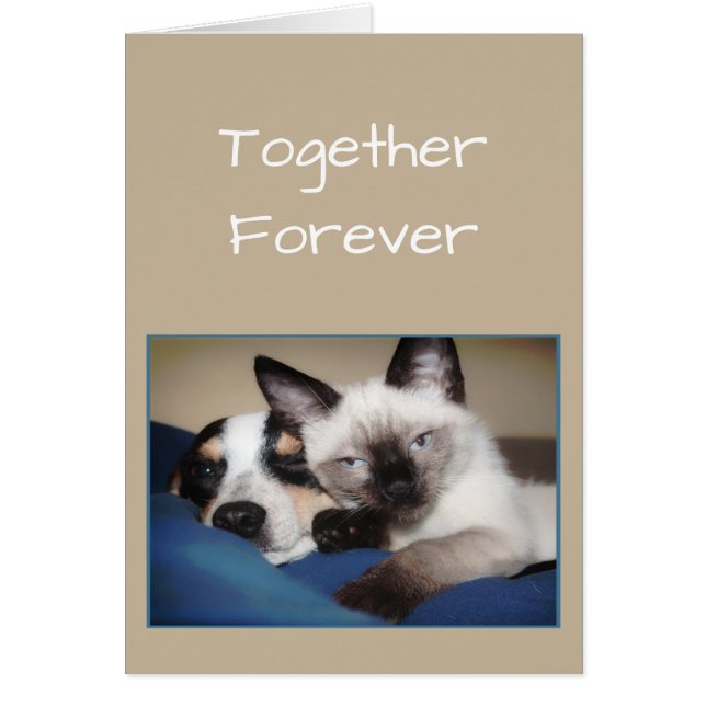 Couple Love FOREVER OU Fourrure-ever Chien & Chat  (Devant)