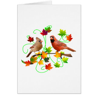 Couples cardinaux