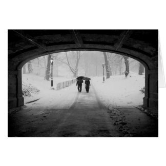 Couples dans la tempête de neige, Central Park