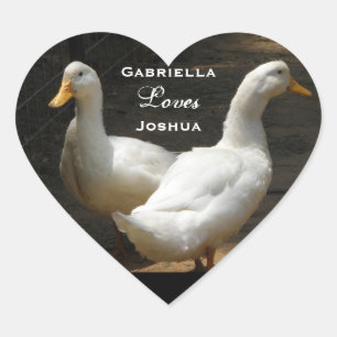 Couples de canard : Autocollants d'amour