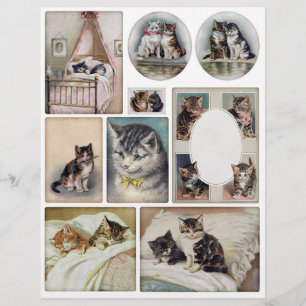 Coupures délicates de chat et de chaton vintage He